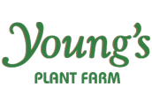 Young's Plant Farm